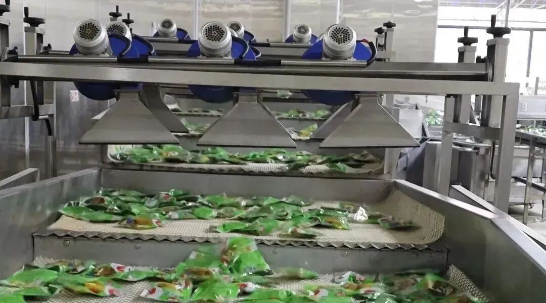 pickles factory 2 pickles factory 2