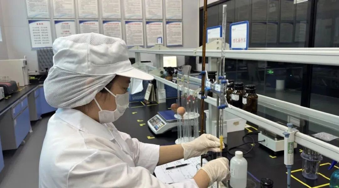 pickles inspection pickles inspection